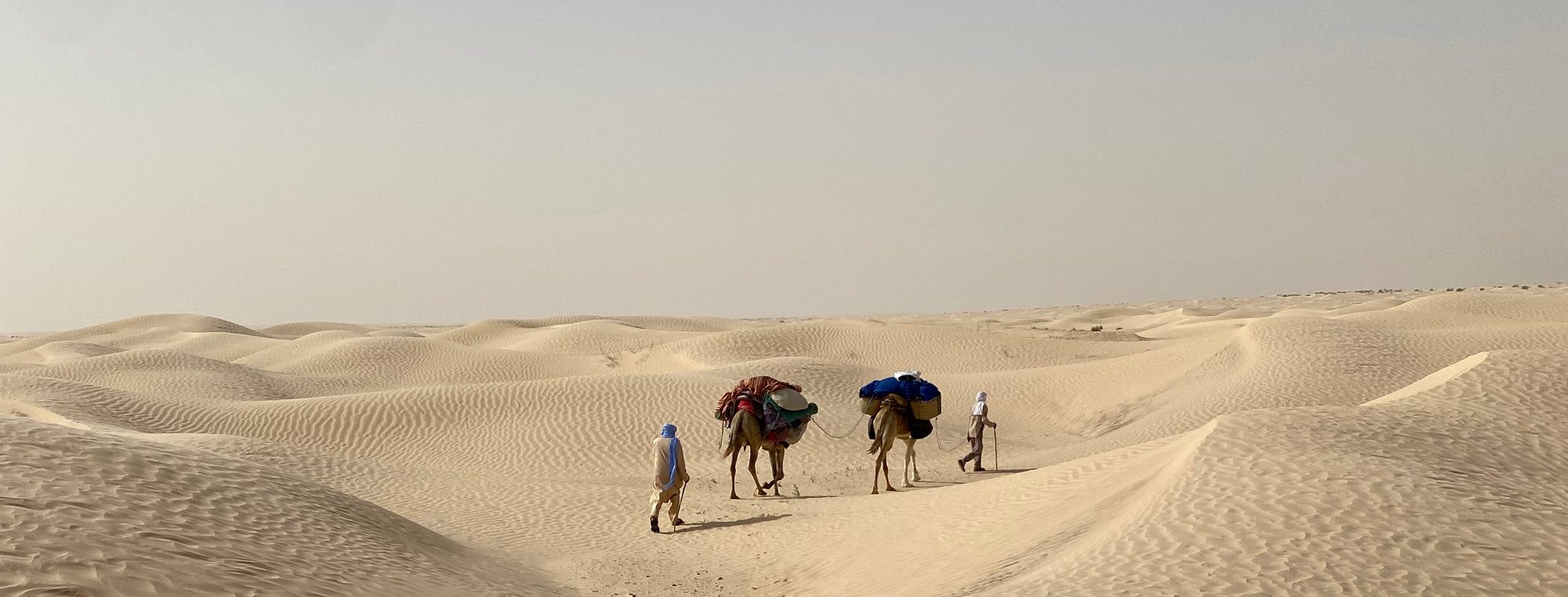 Le désert tunisien